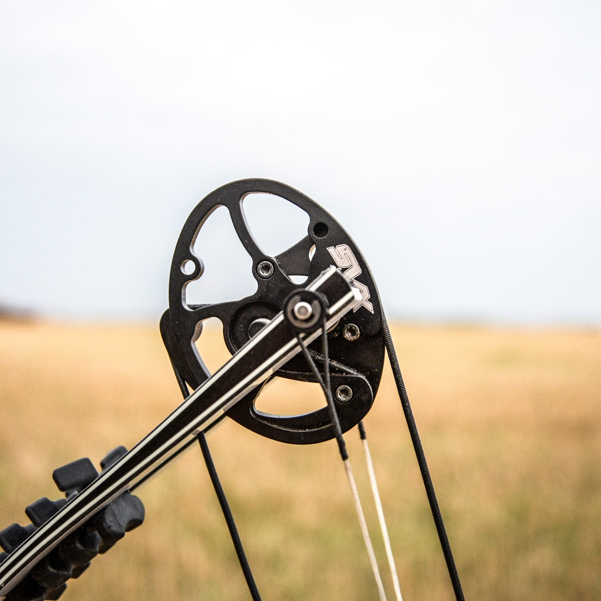 Ensemble Cordes D'arc Mathews Chill R - Série Predator, Tout Noir, Pour Ensemble Cordes D'arc Mathews Chill R - Série Predator, Tout Noir, Pour