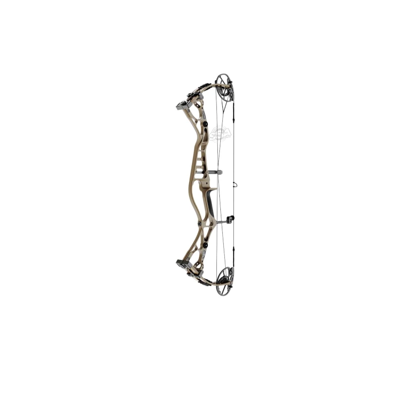Arc A Poulies Sanlida Dragon 10