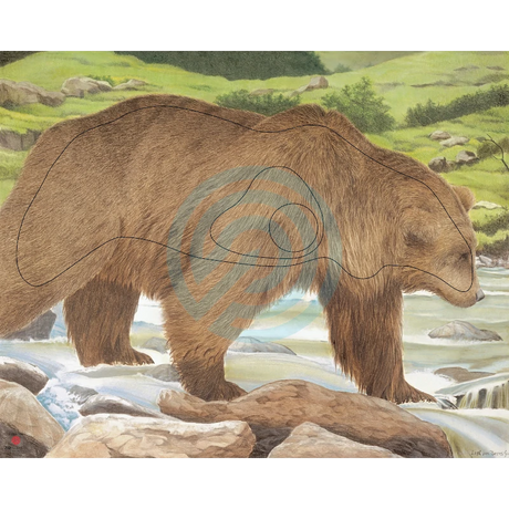 Blason Animalier tir à l'arc JVD Bear