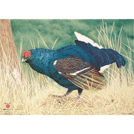 Blason Animalier tir à l'arc JVD Blue-Grouse