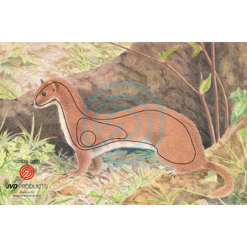 Blason Animalier tir à l'arc JVD Ermine