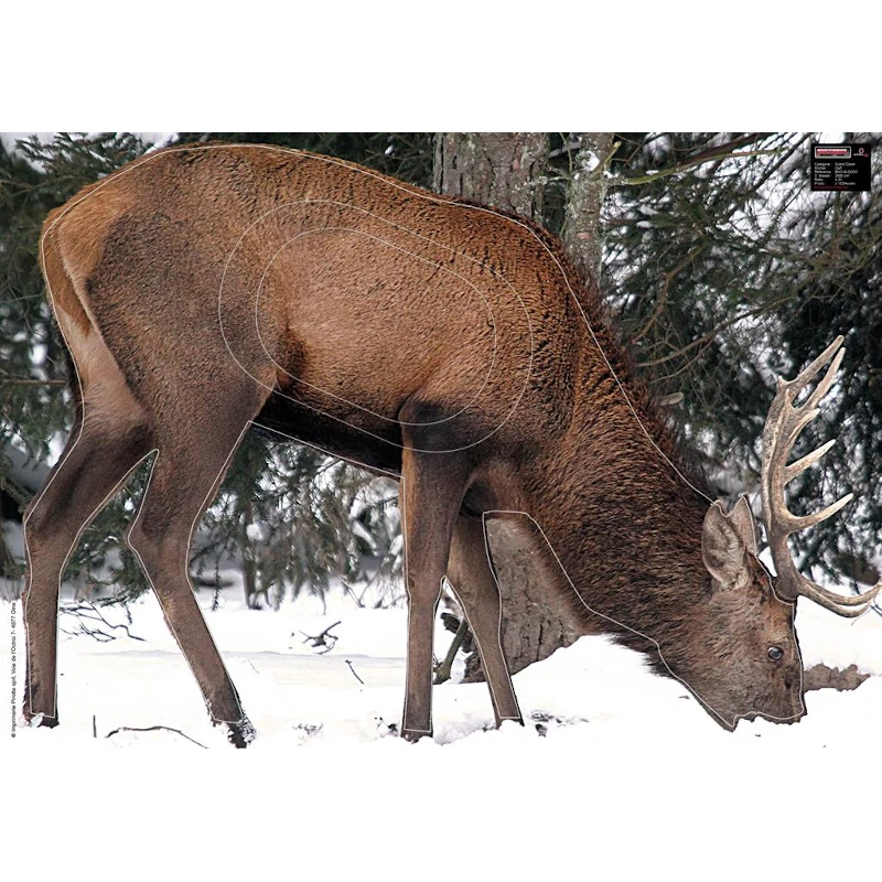 Blason Animalier tir à l'arc Maximal Big Game 70X100 Grazing Deer