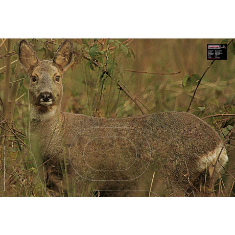 Blason Animalier tir à l'arc Maximal Medium Game 54X80 Female Roedeer Alert