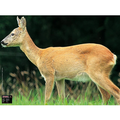 Blason Animalier tir à l'arc Maximal Medium Game 60X80 Roedeer