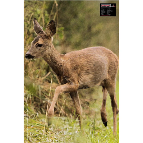 Blason Animalier tir à l'arc Maximal Small Game 40X60 Roedeer