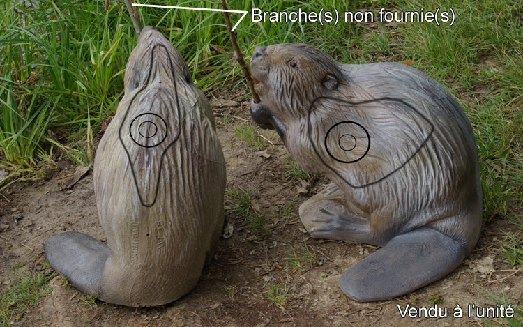 Cible 3D NaturFoam Castor WF 38P