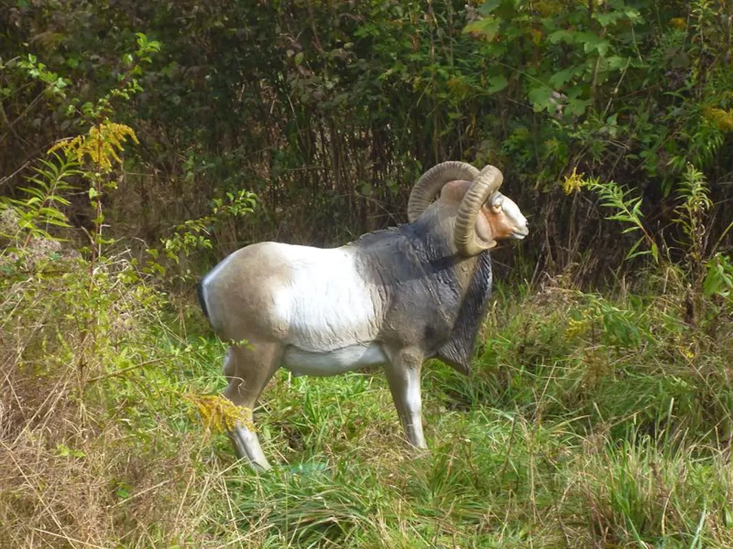 Cible 3D Natur Foam Bighorn Sheep - Debout