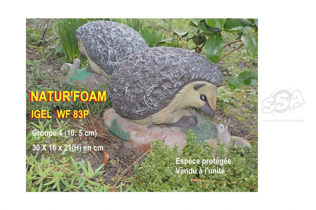 Cible 3D Natur Foam Hedgehog With Snail
