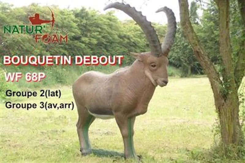 Cible 3D Natur Foam Ibex - Debout