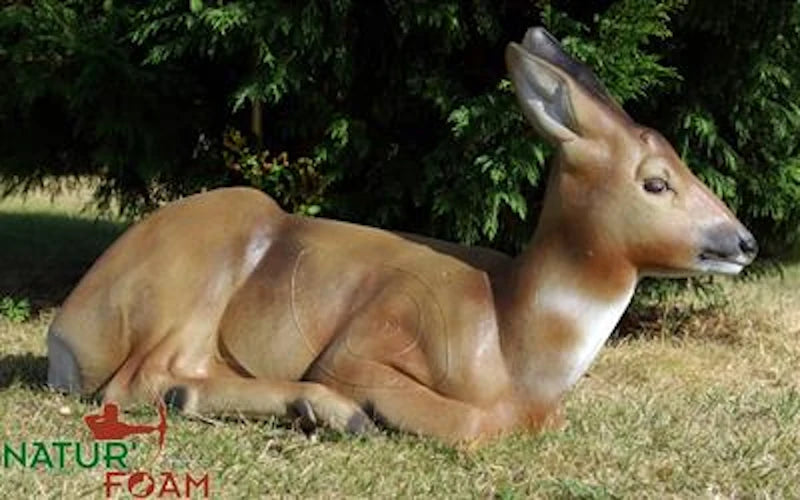 Cible 3D Natur Foam Roedeer Doe - Sitting