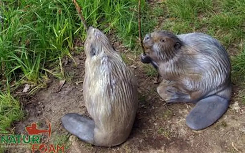 Cible 3D Natur Foam Beaver - Sitting