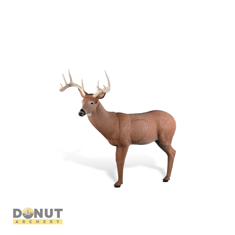 Cible 3D Rinehart 3D Big Ten Buck