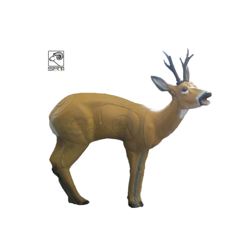 Cible 3D SRT Brocard