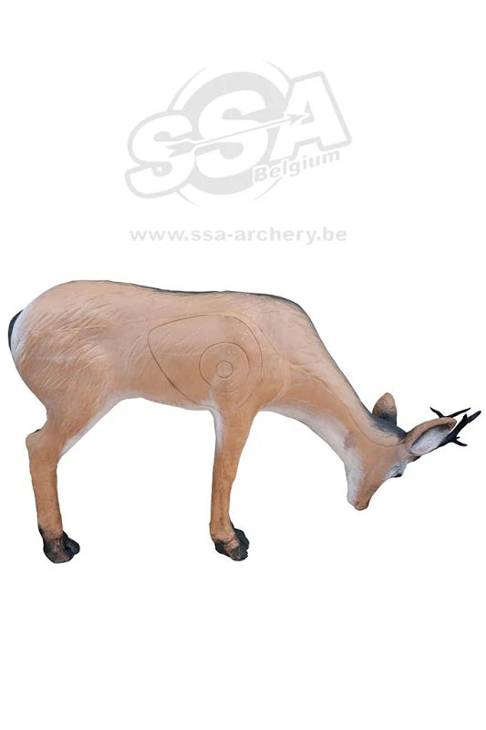 Cible 3D Wildlife Roedeer Drinking