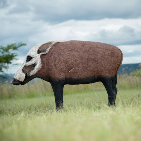Cible 3D Wildcrete Bushpig Large