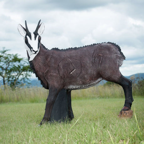 Cible 3D Wildcrete Chamois Female