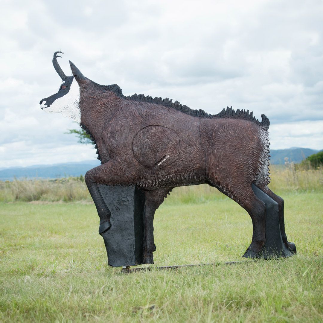 Cible 3D Wildcrete Chamois Male