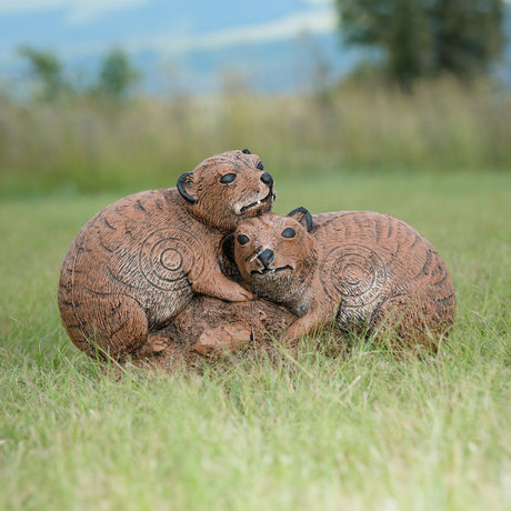 Cible 3D Wildcrete Dassie Pair