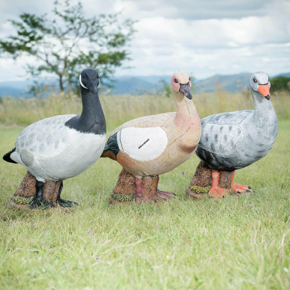 Cible 3D Wildcrete Egyptian Goose