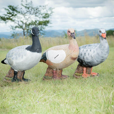 Cible 3D Wildcrete Egyptian Goose