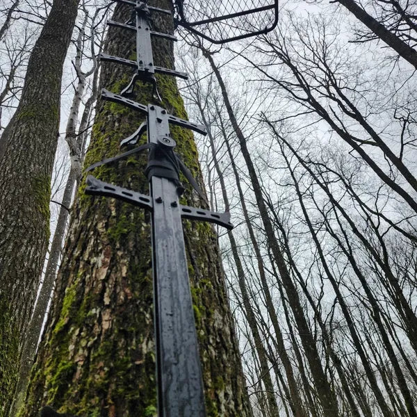 Echelon Grimpereaux (par 4)