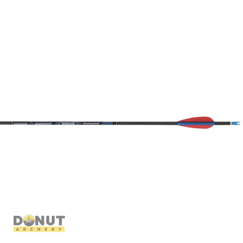 Fleche Carbone Skylon RADIUS (par 12)