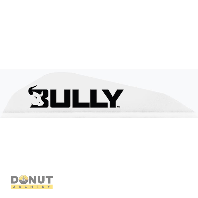 Plume de flèche Plastique EASTON Bully Boattail (par 100)
