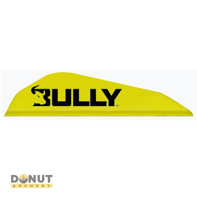 Plume de flèche Plastique EASTON Bully Boattail (par 100)