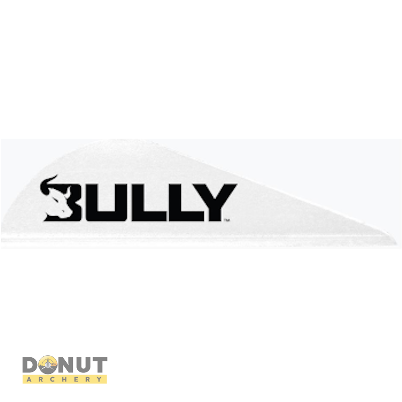 Plume de flèche Plastique EASTON Bully (par 100)