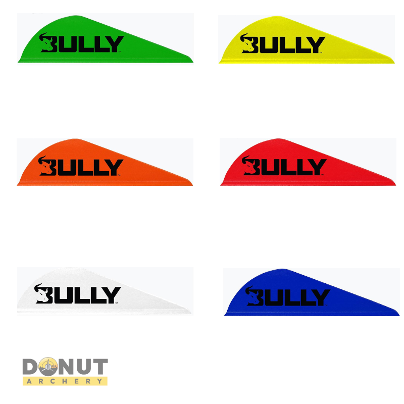 Plume de flèche Plastique EASTON Bully (par 100)