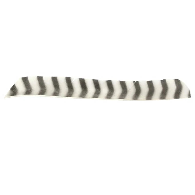 Plume de flèche Naturelle Gateway Entiere