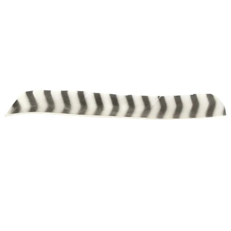 Plume de flèche Naturelle Gateway Entiere