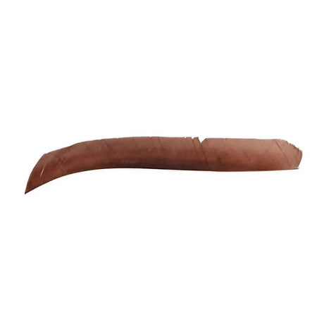 Plume de flèche Naturelle Gateway Entiere