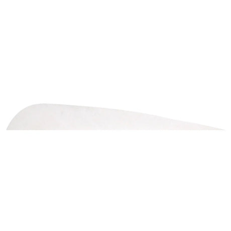 Plume de flèche Naturelle Gateway Parabolique