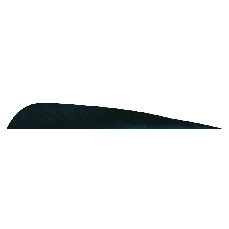 Plume de flèche Naturelle Gateway Parabolique