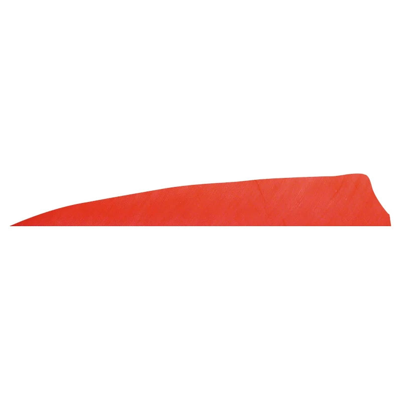 Plume de flèche Naturelle Gateway Shield