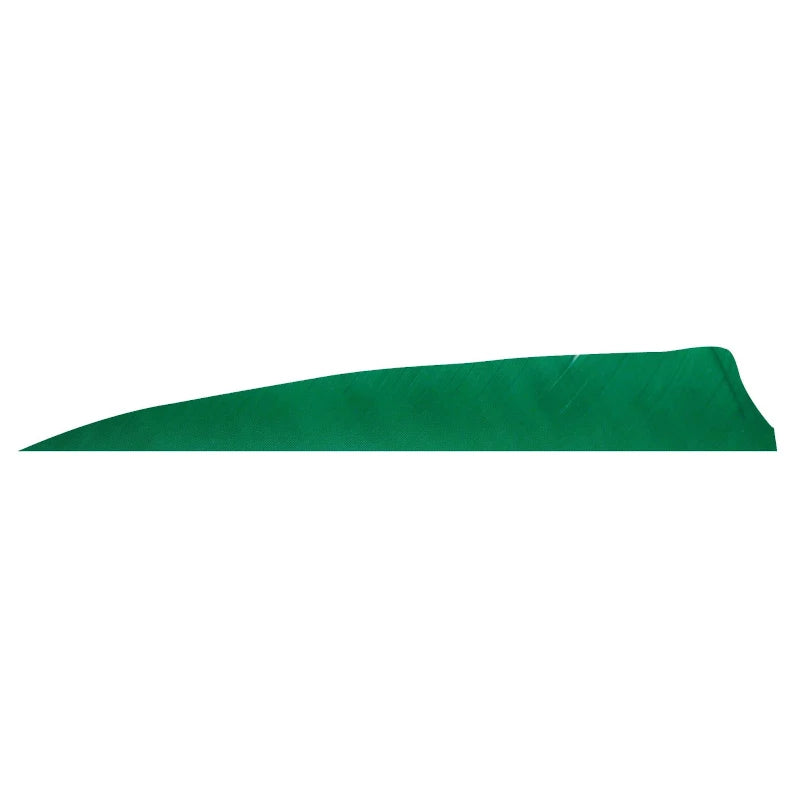 Plume de flèche Naturelle Gateway Shield