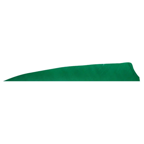 Plume de flèche Naturelle Gateway Shield