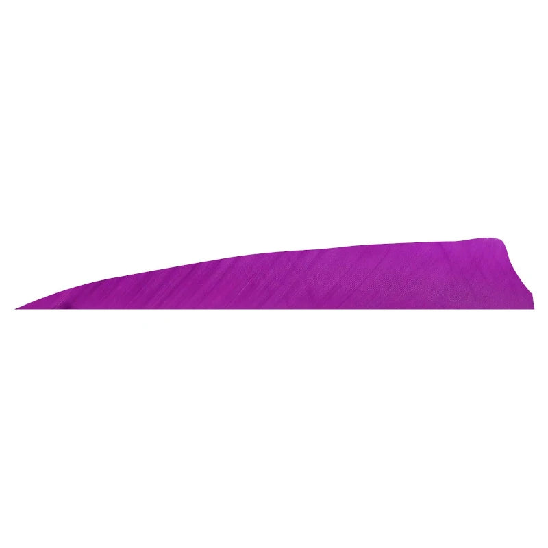 Plume de flèche Naturelle Gateway Shield