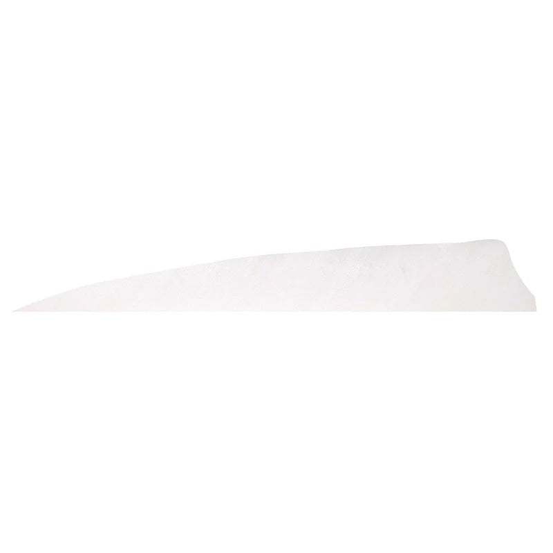 Plume de flèche Naturelle Gateway Shield
