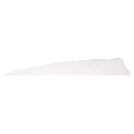 Plume de flèche Naturelle Gateway Shield