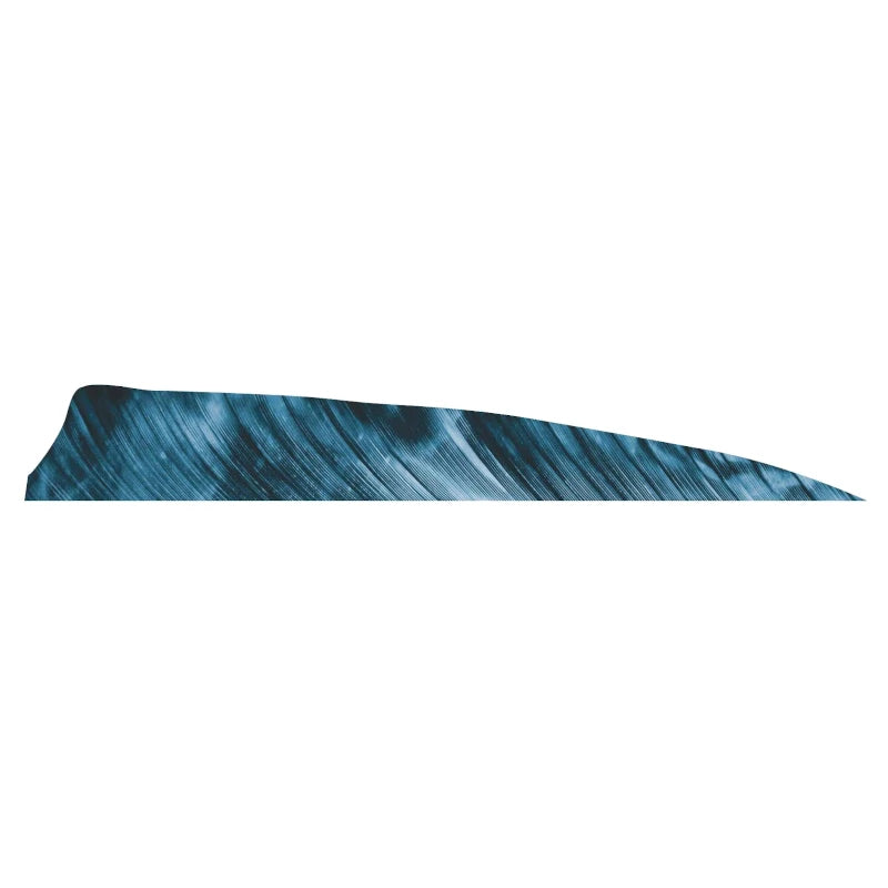 Plume de flèche Naturelle Gateway Shield
