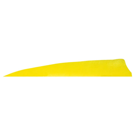 Plume de flèche Naturelle Gateway Shield