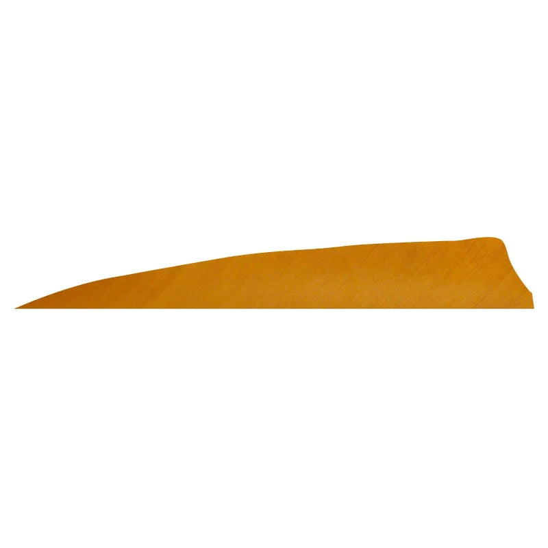 Plume de flèche Naturelle Gateway Shield