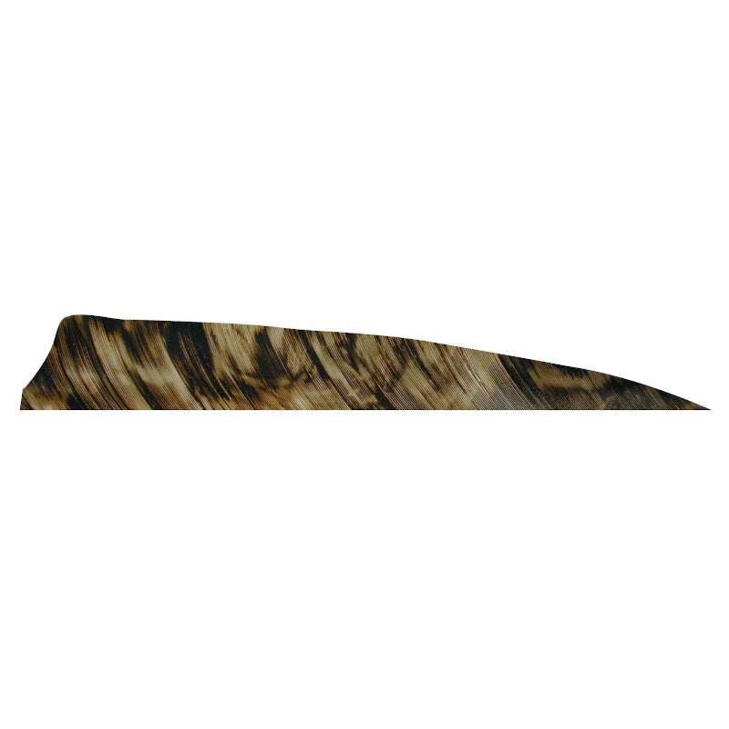 Plume de flèche Naturelle Gateway Shield