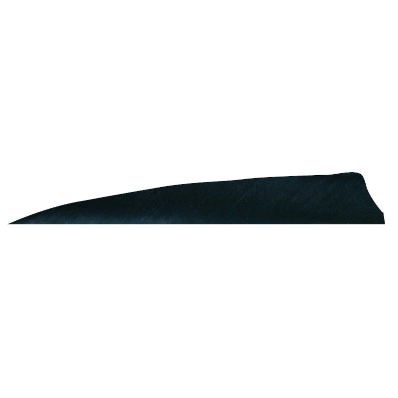 Plume de flèche Naturelle Gateway Shield