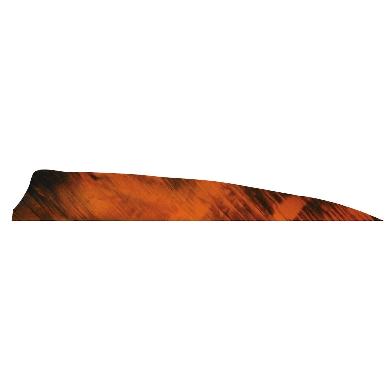 Plume de flèche Naturelle Gateway Shield