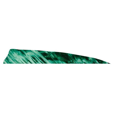 Plume de flèche Naturelle Gateway Shield