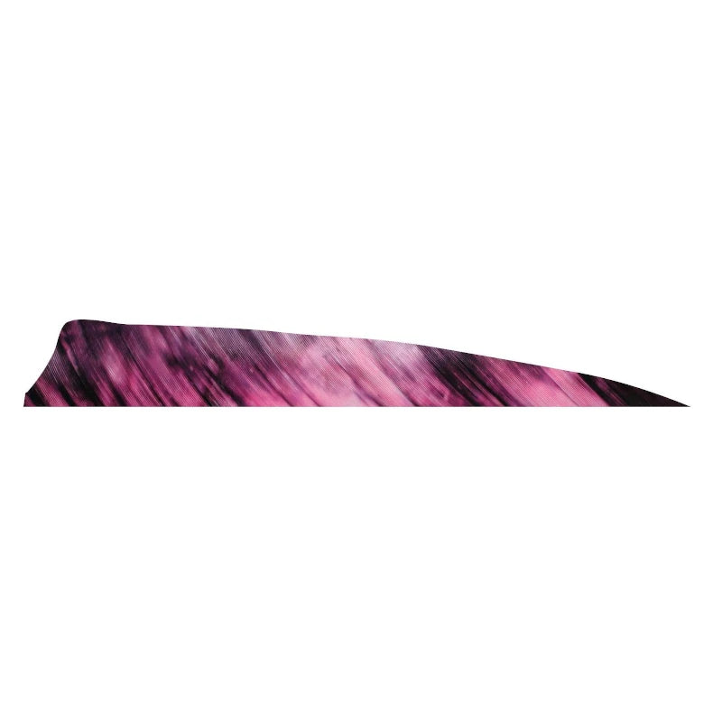 Plume de flèche Naturelle Gateway Shield