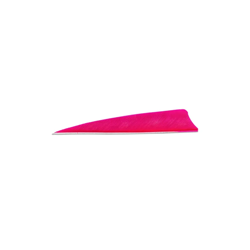Plume de flèche Naturelle Gateway Shield
